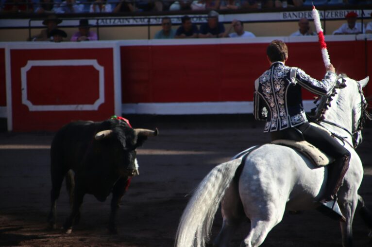 Feria del Caballo Jerez 2026: come arrivare