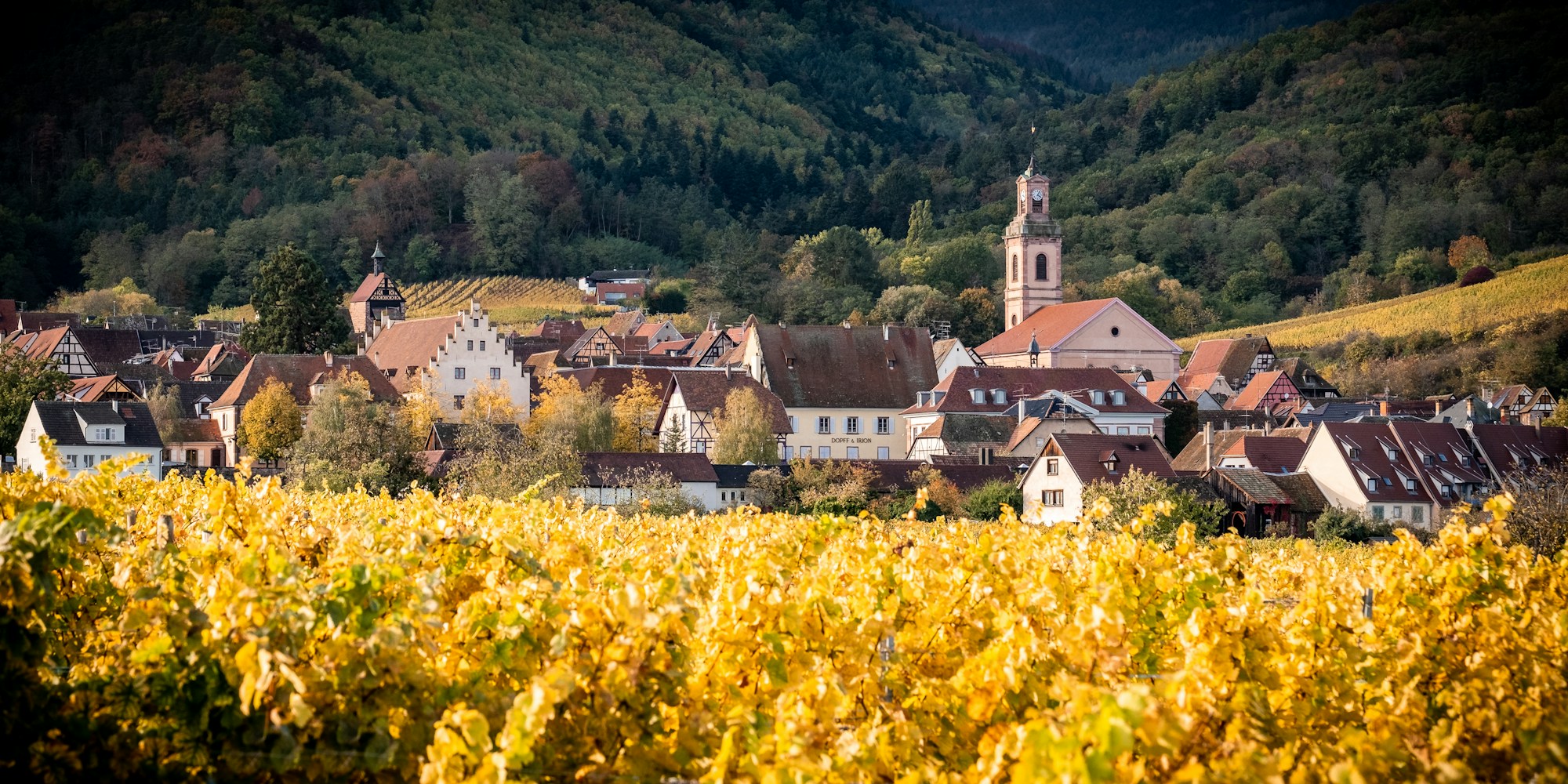 Village de Riquewihr encerclé de vignes sur la Route des Vins d'Alsace, France