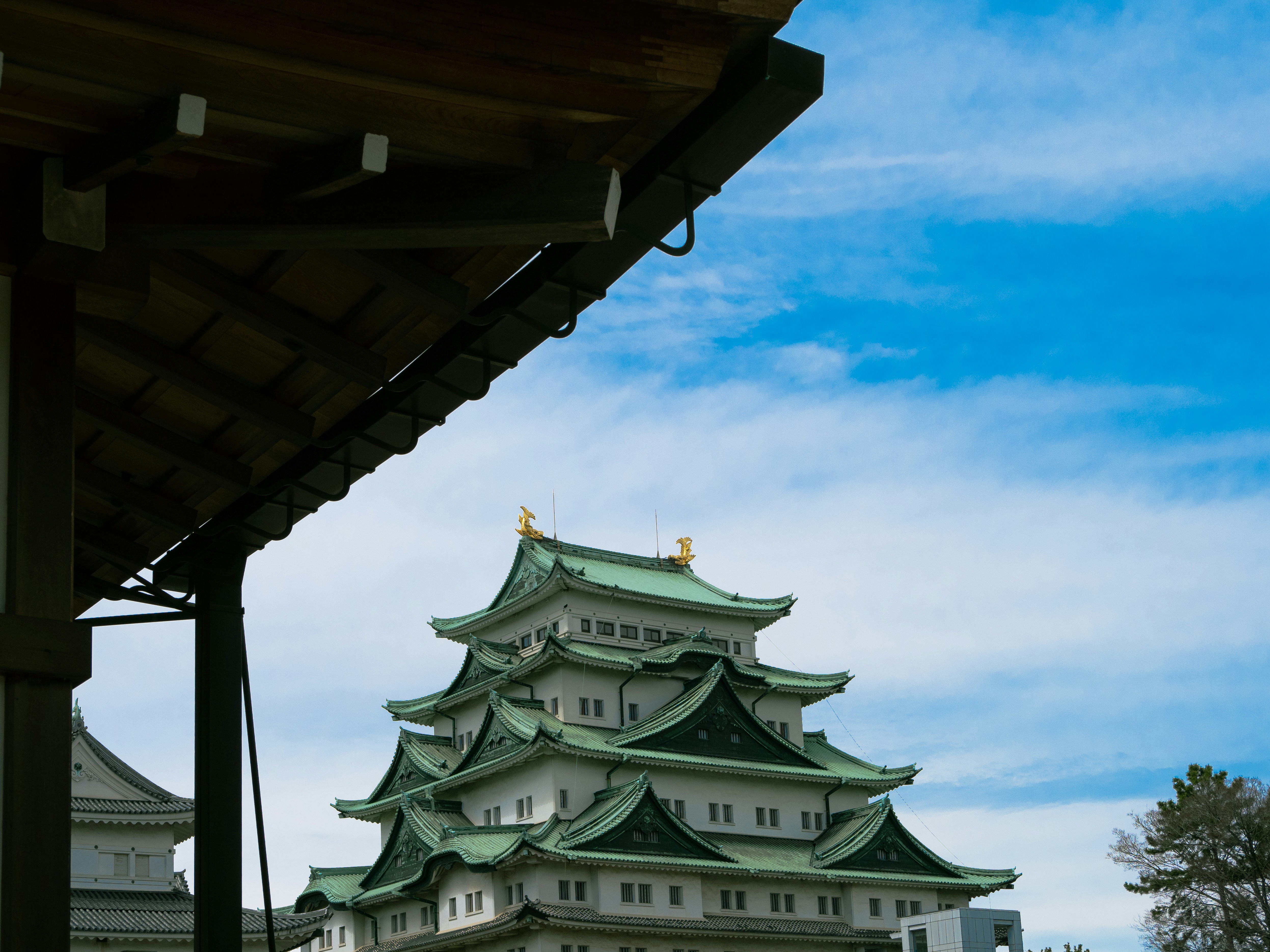Château de Nagoya dans la préfecture d'Aichi au Japon, proche du Studio Ghibli Park