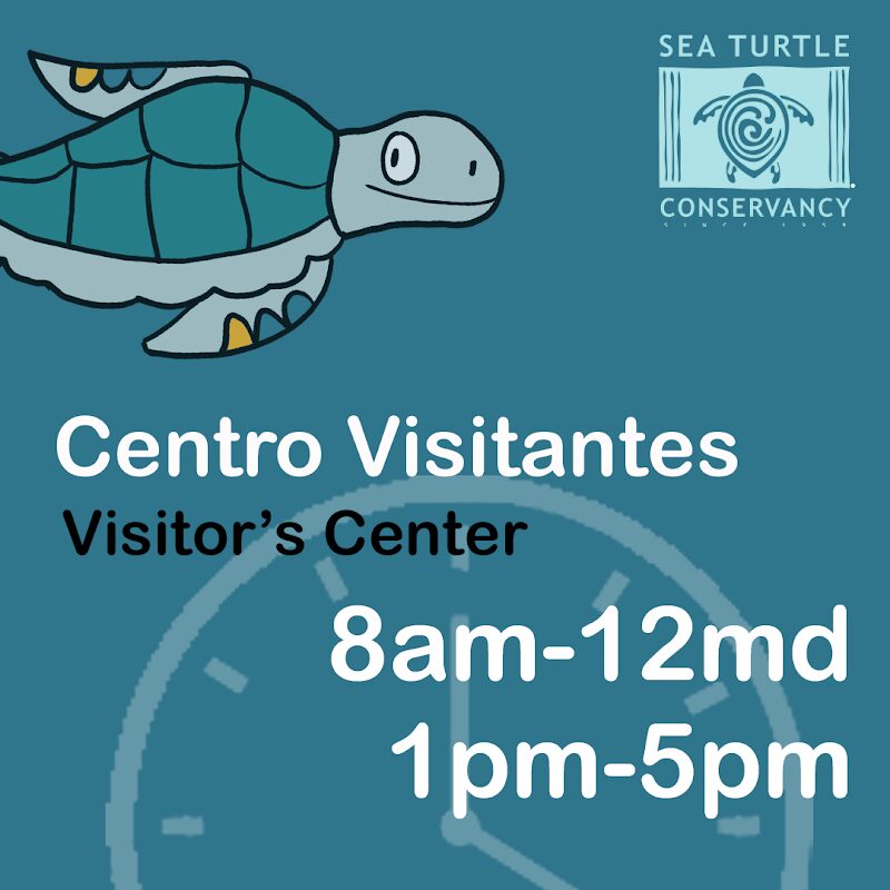 Centre d'accueil de la Sea Turtle Conservancy – Centre d'accueil de la Sea Turtle Conservancy, Tortuguero, Limón (photo 1)