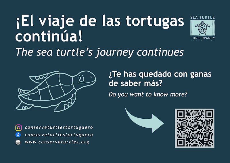 Centre d'accueil de la Sea Turtle Conservancy – Centre d'accueil de la Sea Turtle Conservancy, Tortuguero, Limón (photo 2)
