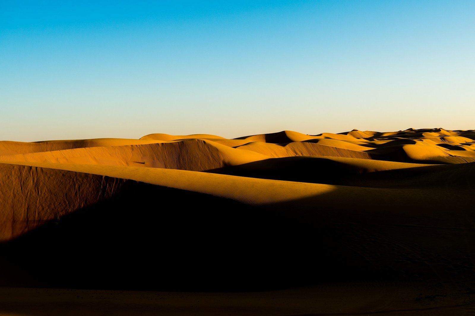 Dunes de sable dorées du désert de Wahiba Sands à Oman sous un ciel de coucher de soleil