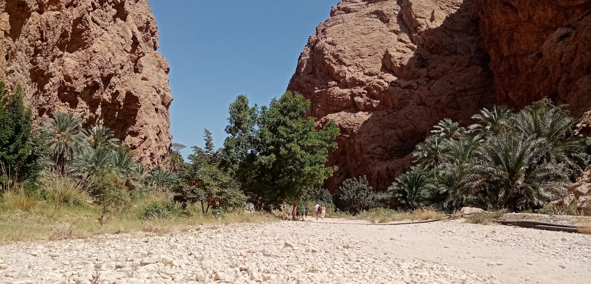 Chemin menant au Wadi Shab en Oman, entre parois rocheuses et végétation luxuriante