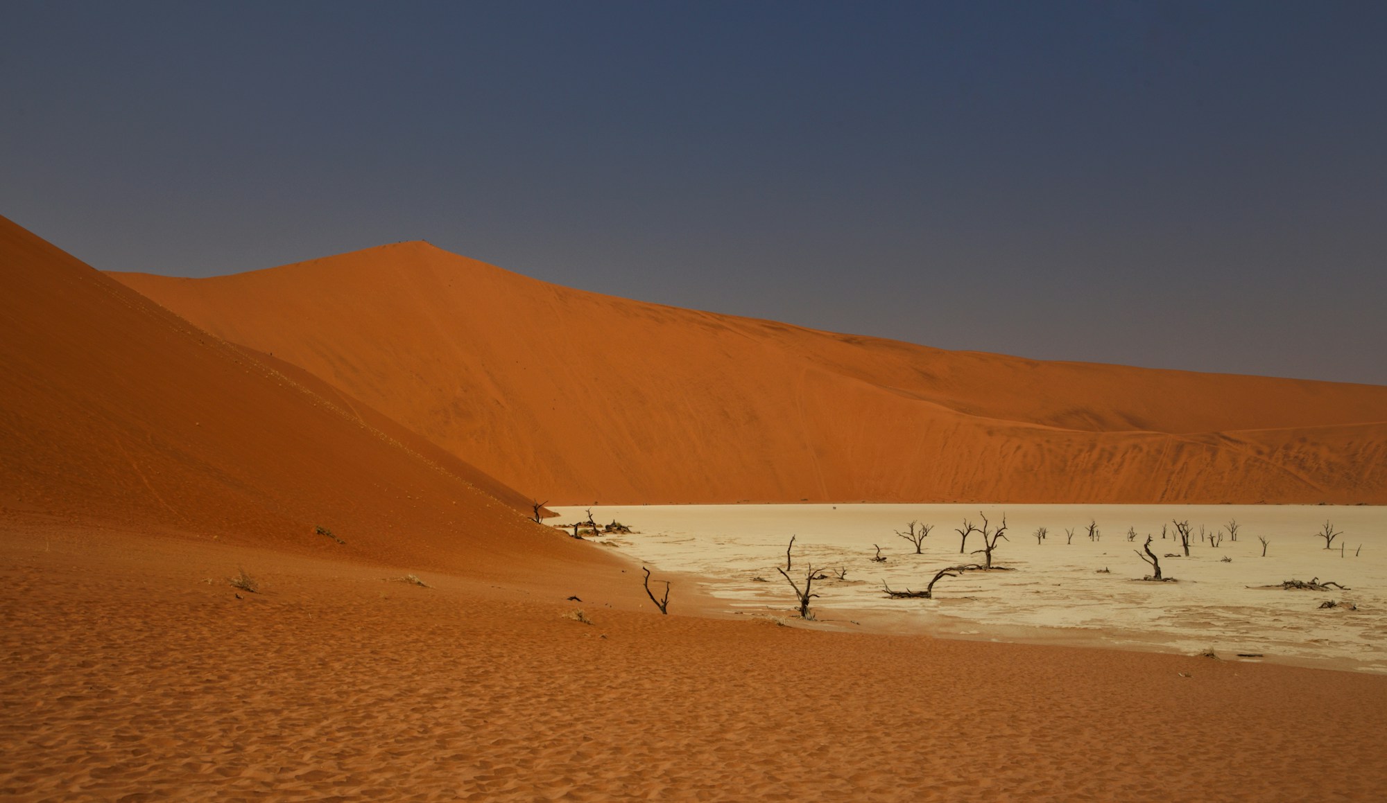 Deadvlei en Namibie — arbres calcinés dans un pan de sel entouré de dunes géantes