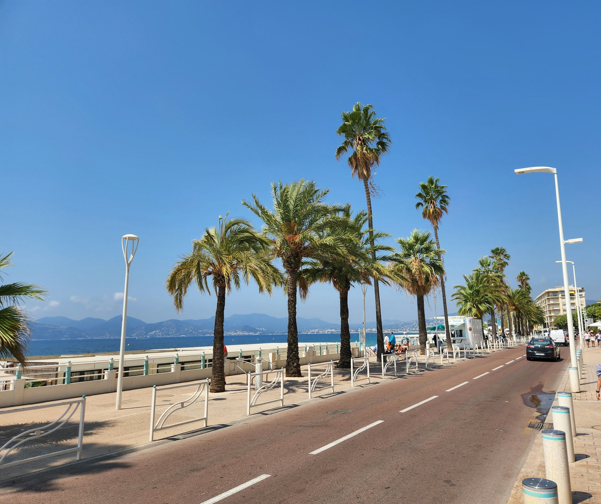 Bord de mer à Cannes avec palmiers et route longeant la plage, Côte d'Azur, France