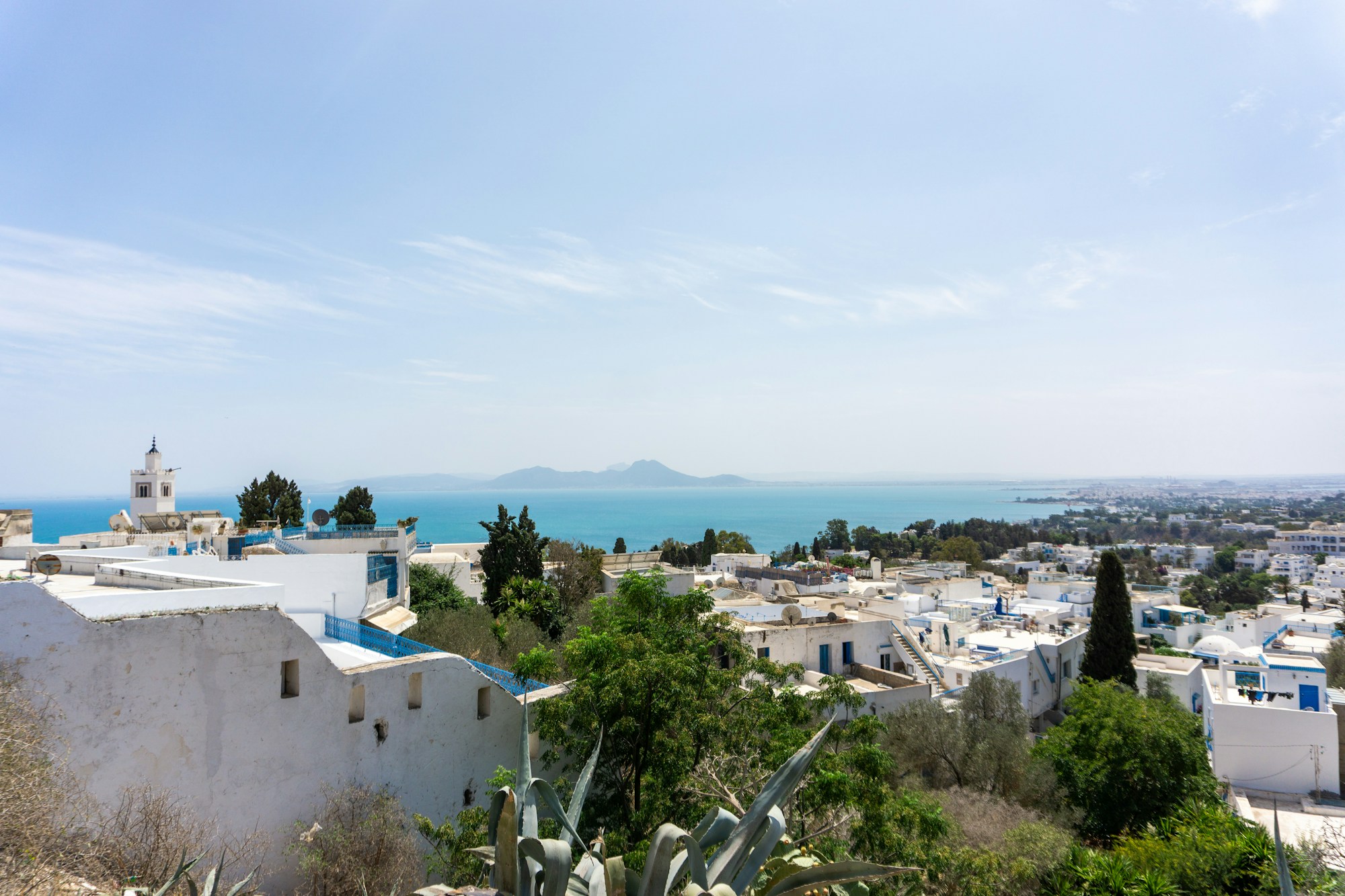 Vue de Sidi Bou Saïd, village bleu et blanc perché au-dessus de la Méditerranée, Tunisie