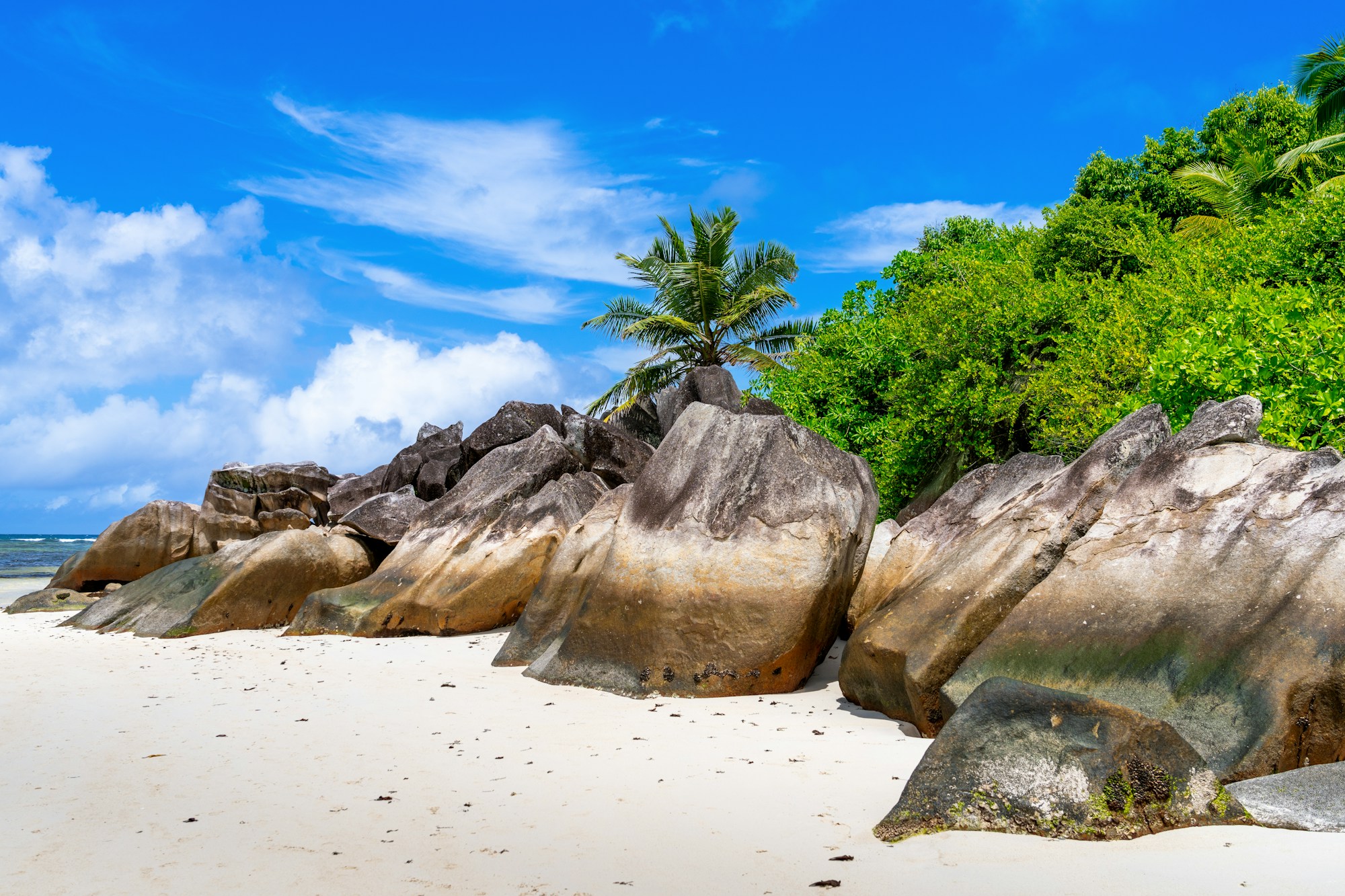 Plage des Seychelles avec les rochers de granit rose caractéristiques et palmiers