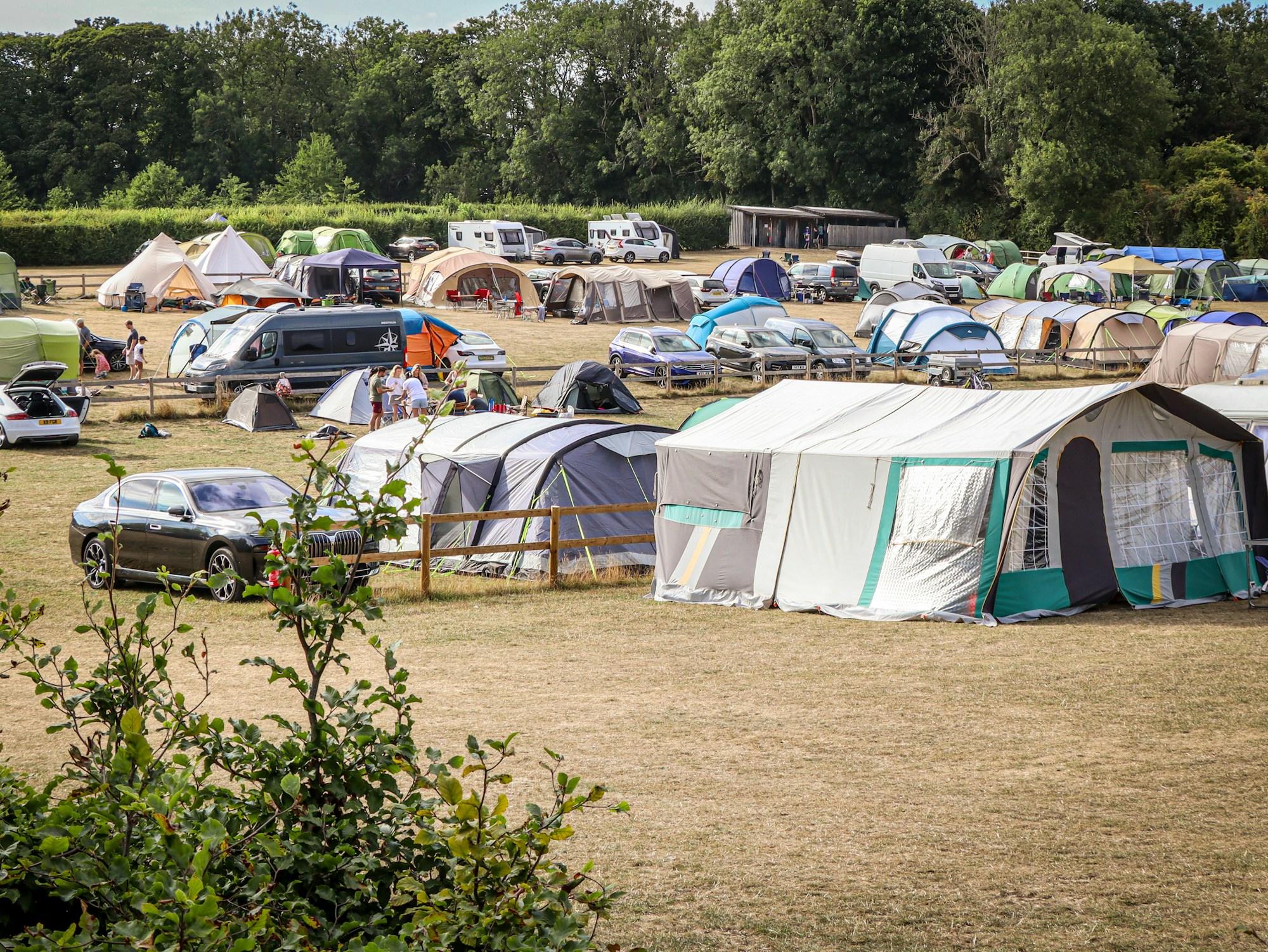 Festival camping area with rows of colourful tents at an outdoor summer festival