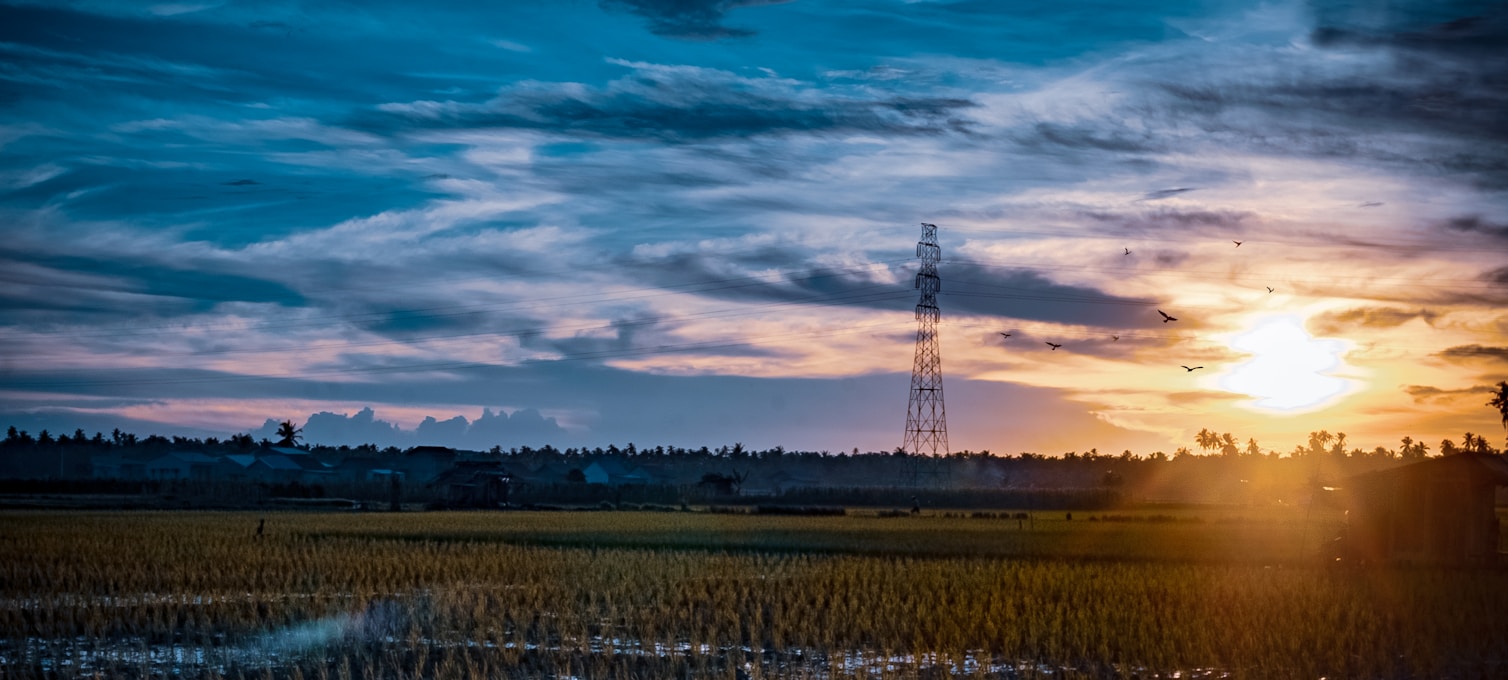 Rizières de l'Albufera au coucher de soleil près de Valence