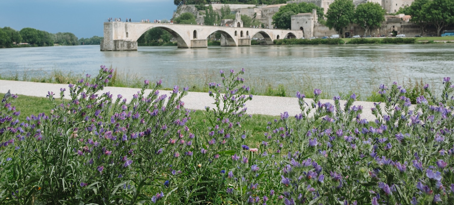 Vue du Palais des Papes d'Avignon pendant le festival de théâtre