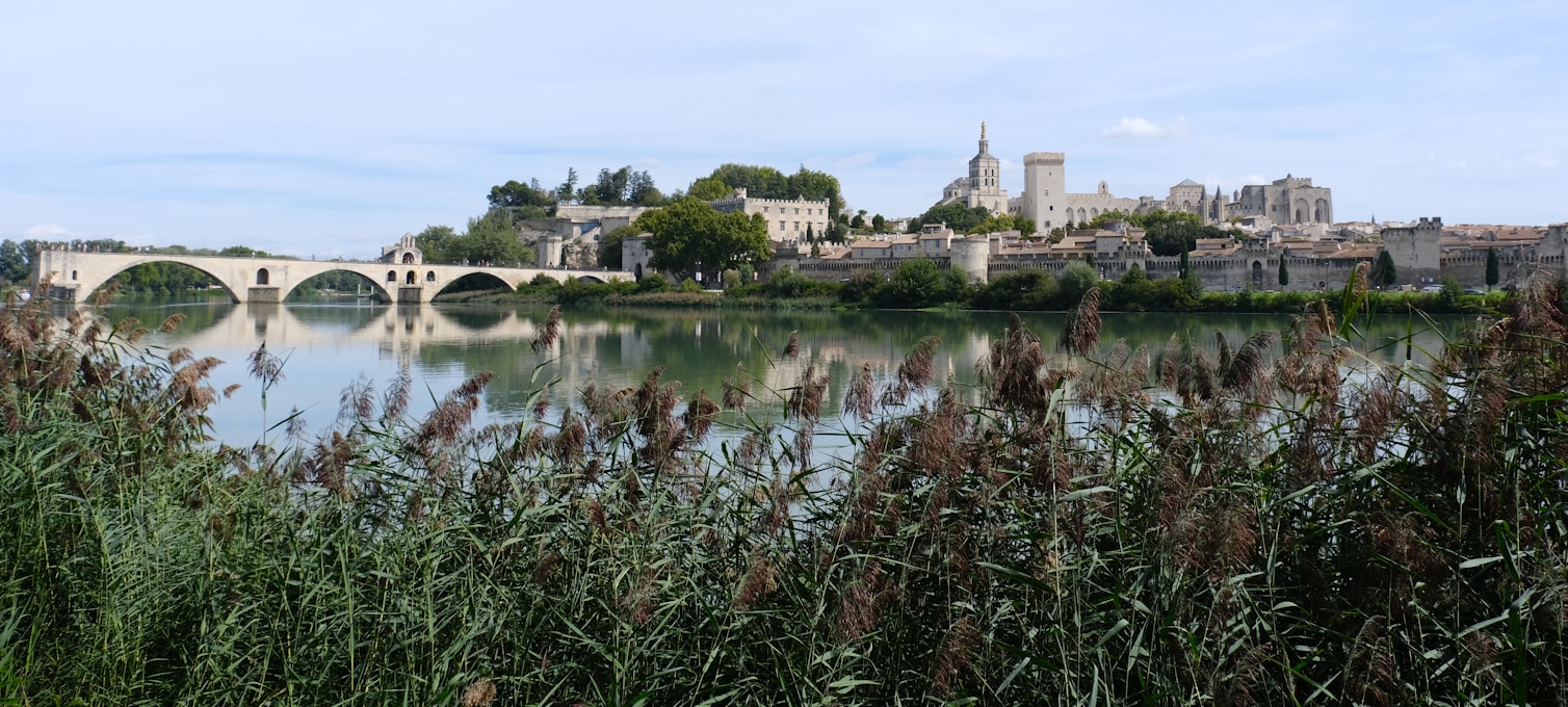 Visite guidée Avignon Palais des Papes cour d'honneur