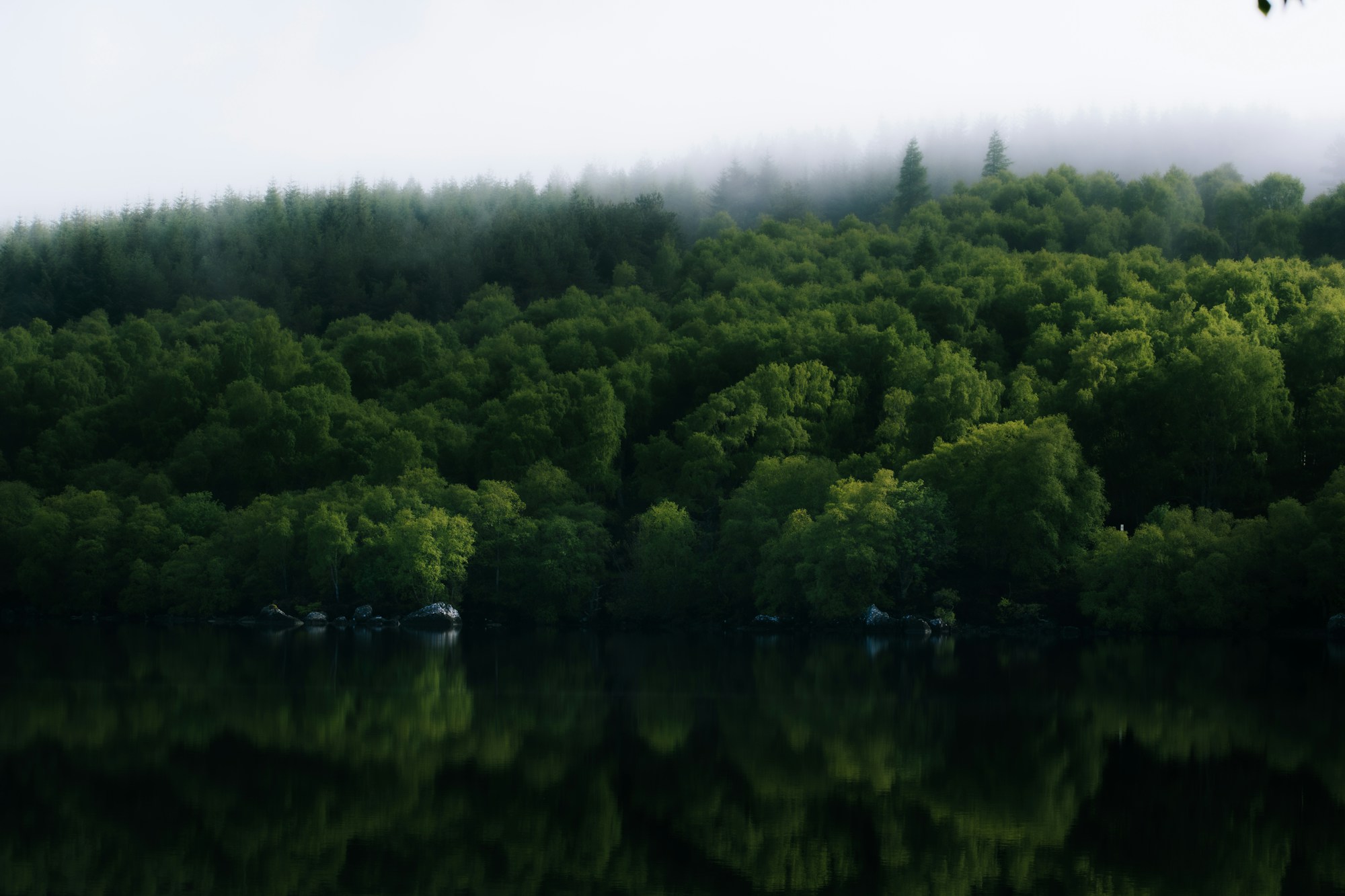 Lac de Guerlédan en Bretagne intérieure, entouré de forêts — camping au bord de l'eau
