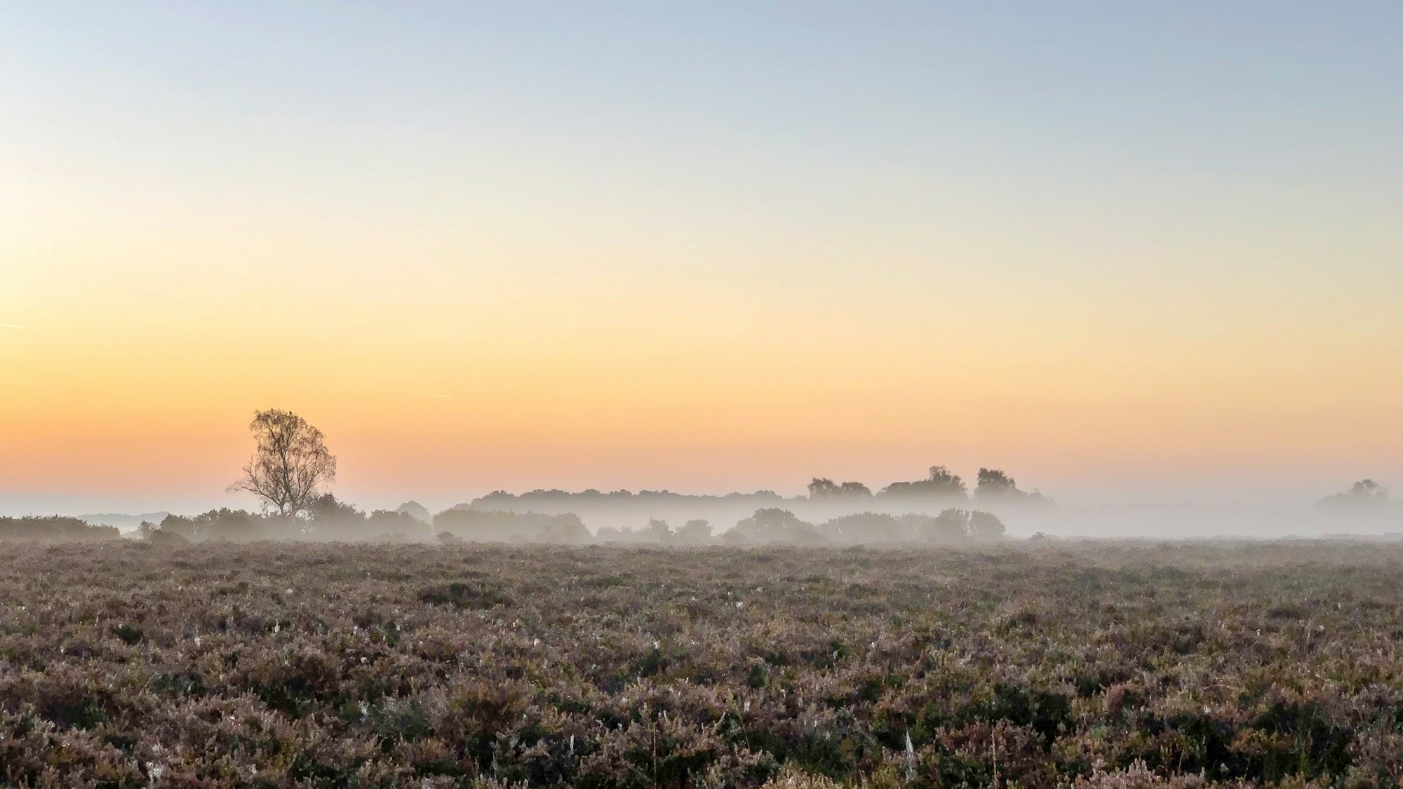Landes et tourbières des Monts d'Arrée en Finistère — Parc Naturel Régional d'Armorique