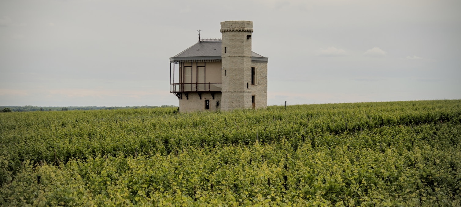 Dégustation vins Châteauneuf-du-Pape vignoble Côtes du Rhône