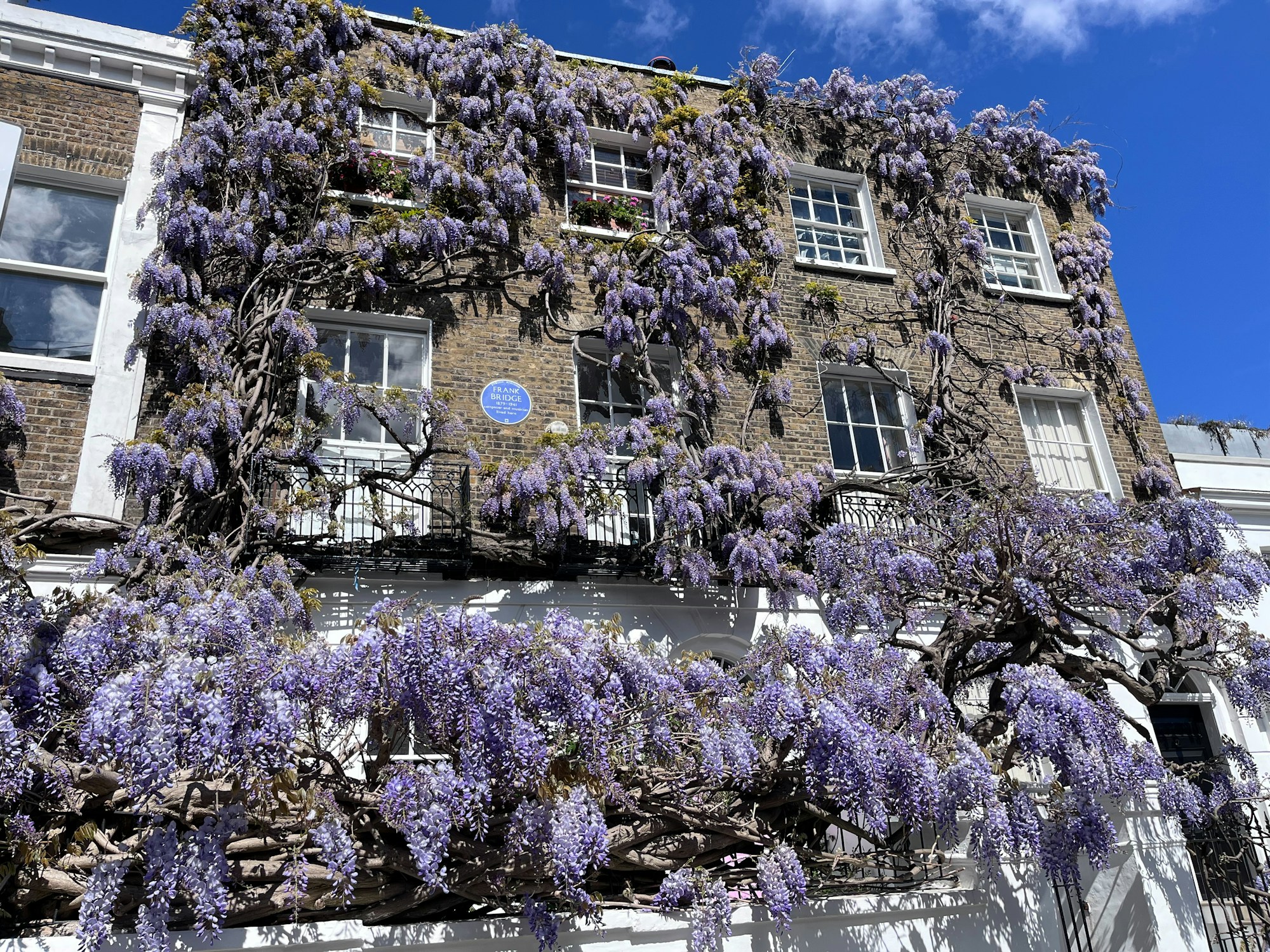Chelsea street in London in spring with shops and flowers
