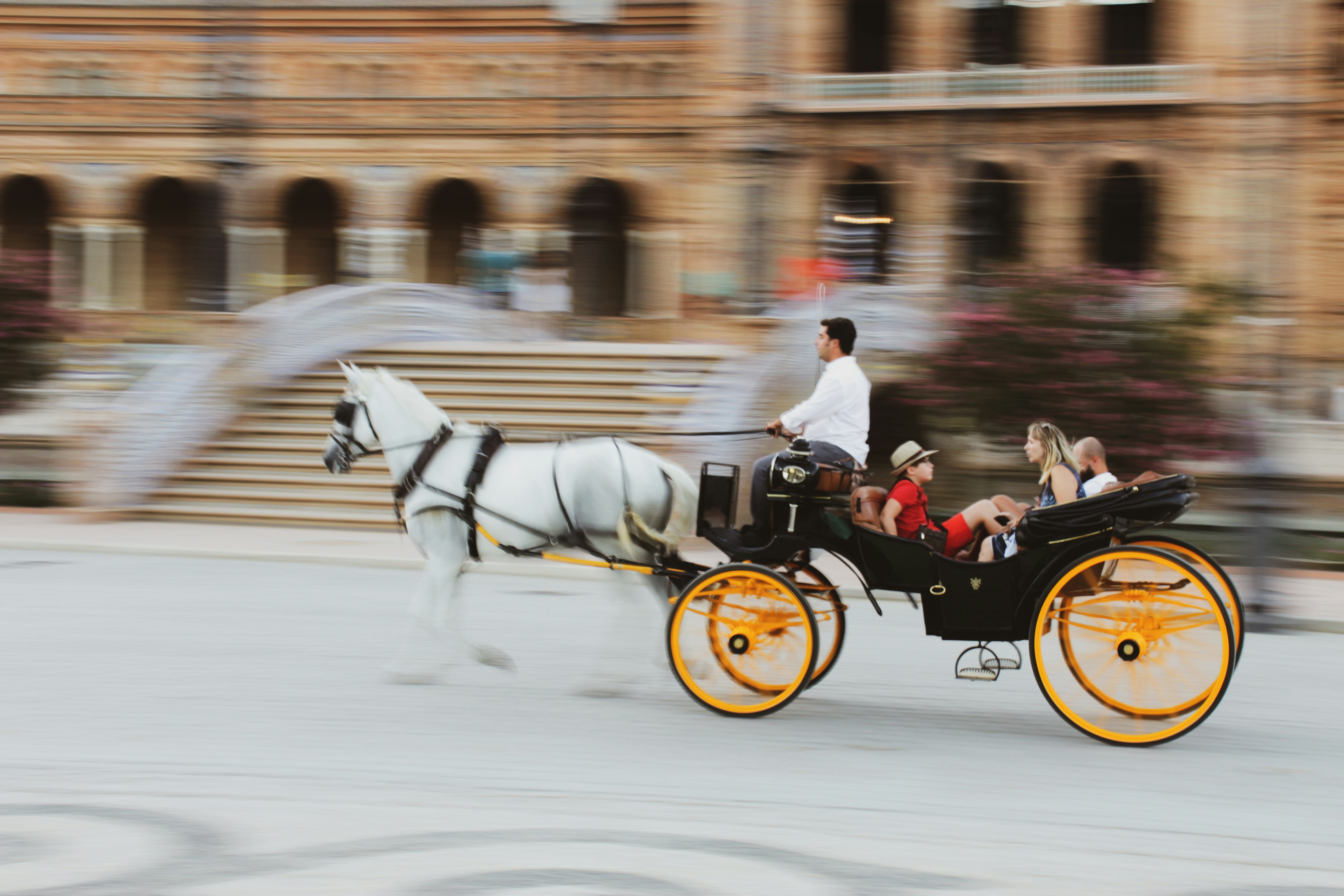 Calèche tirée par un cheval blanc lors d'une feria andalouse, tradition équestre espagnole