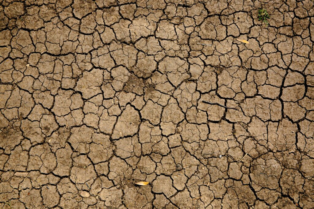Vague de chaleur en France — sol craquelé sous la canicule de l'été 2026