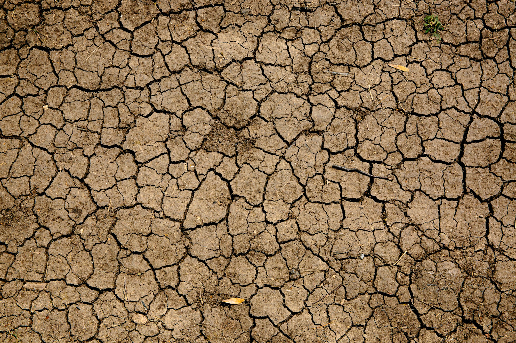 Vague de chaleur en France — rues désertes sous la canicule de l'été 2026