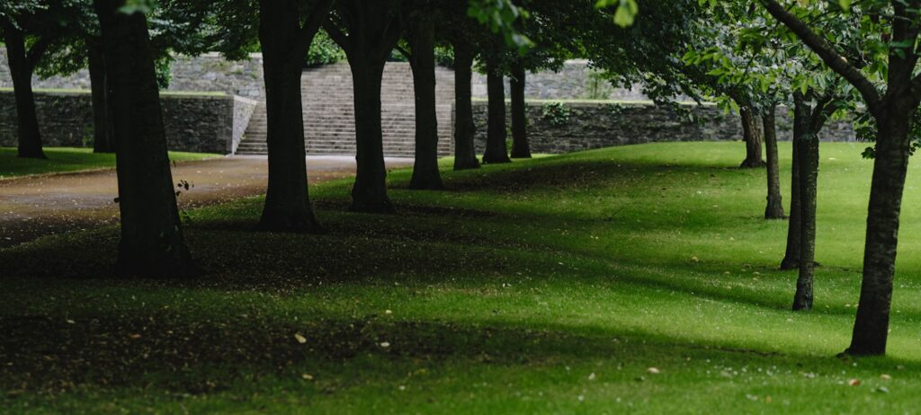 Walking tour Merrion Square Dublin pint of Guinness Oscar Wilde statue Dublin Rogues Tour