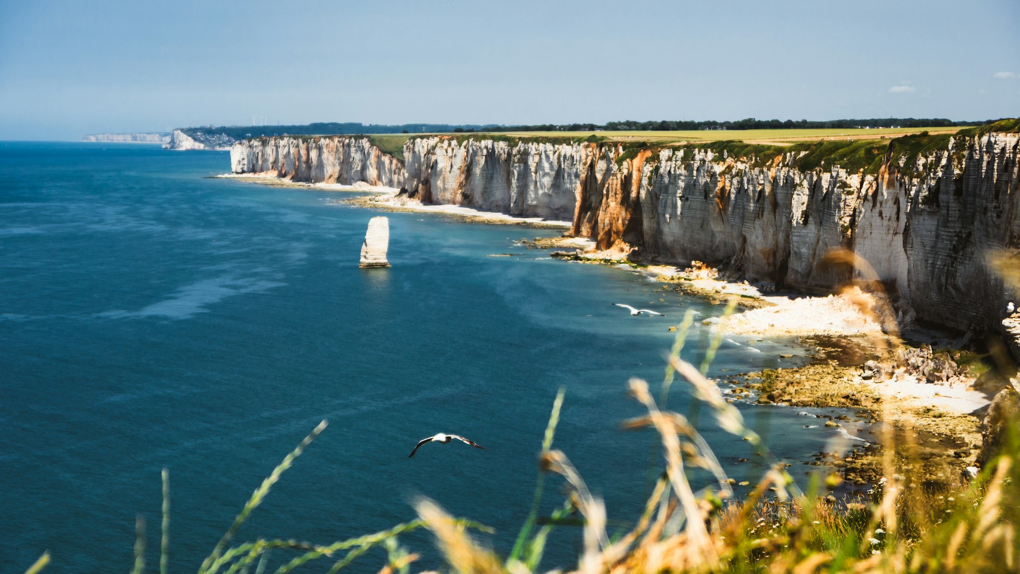 Falaises de craie du Cap Blanc-Nez sur la Côte d'Opale, vue sur la Manche et les falaises de Douvres