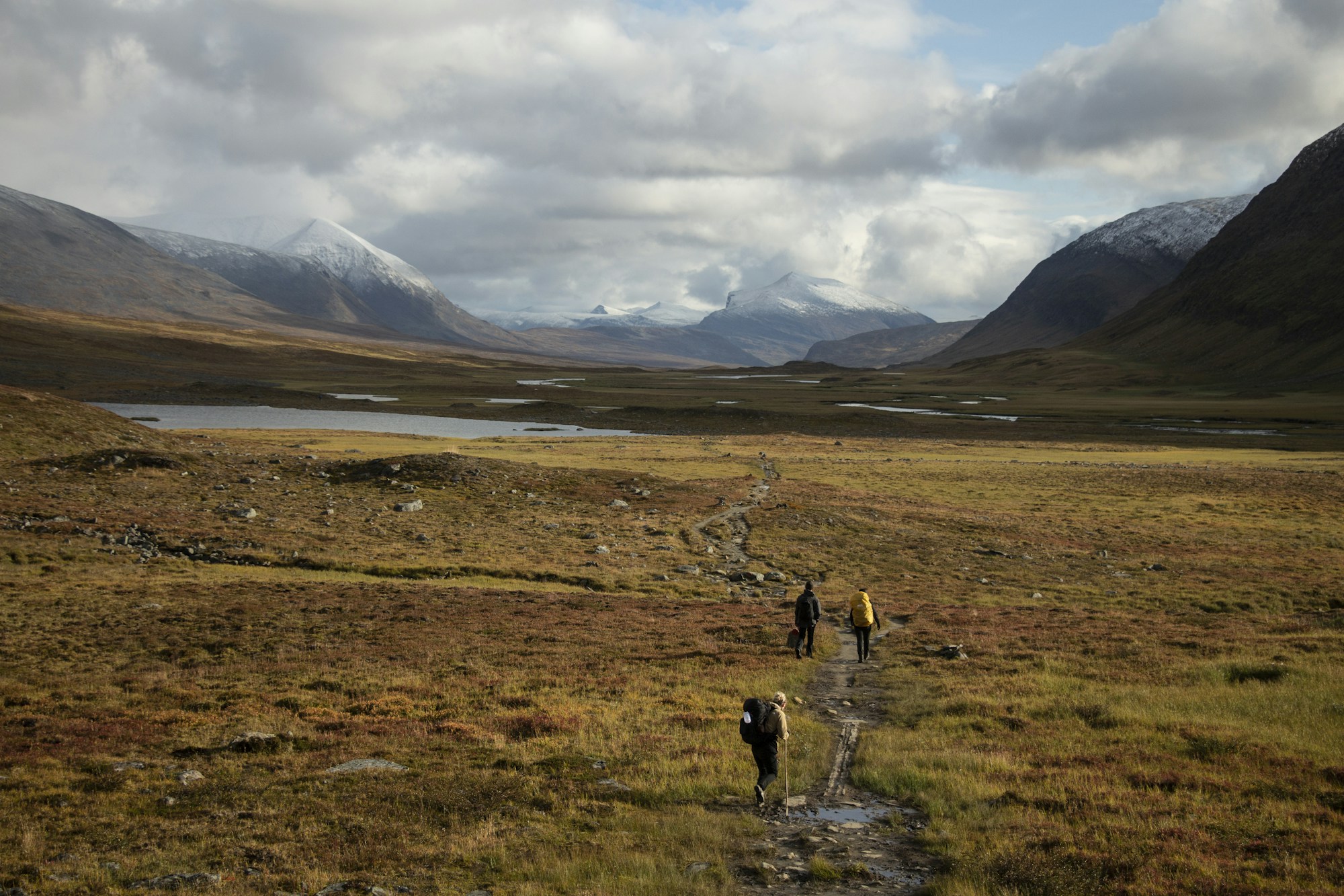 Sentier de randonnée dans le parc national d'Abisko en Laponie suédoise, végétation arctique estivale
