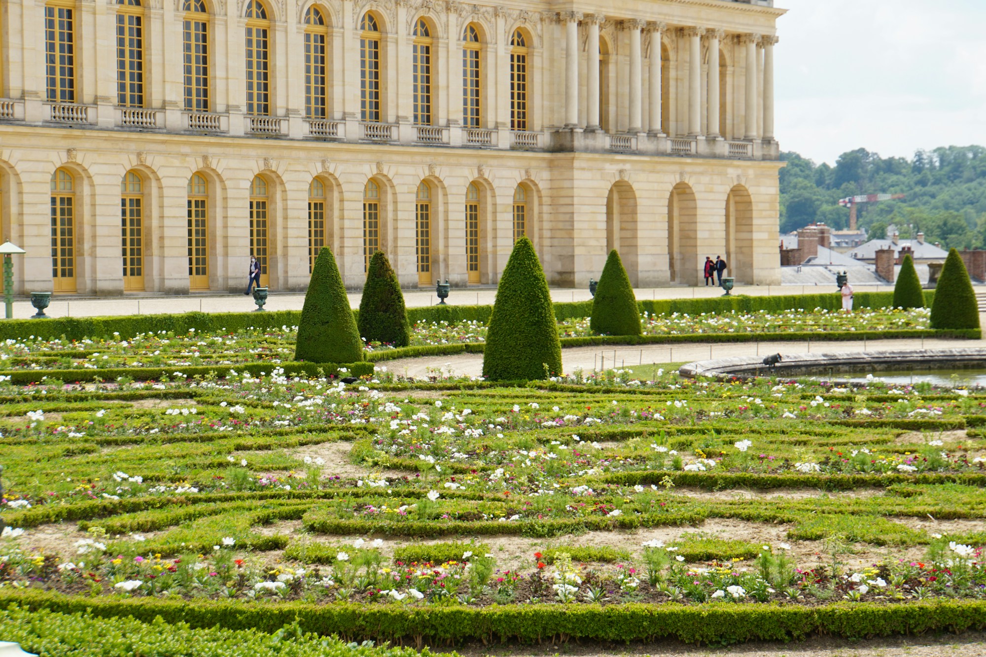 Les jardins à la française du château de Versailles vus en perspective, allées et bassins