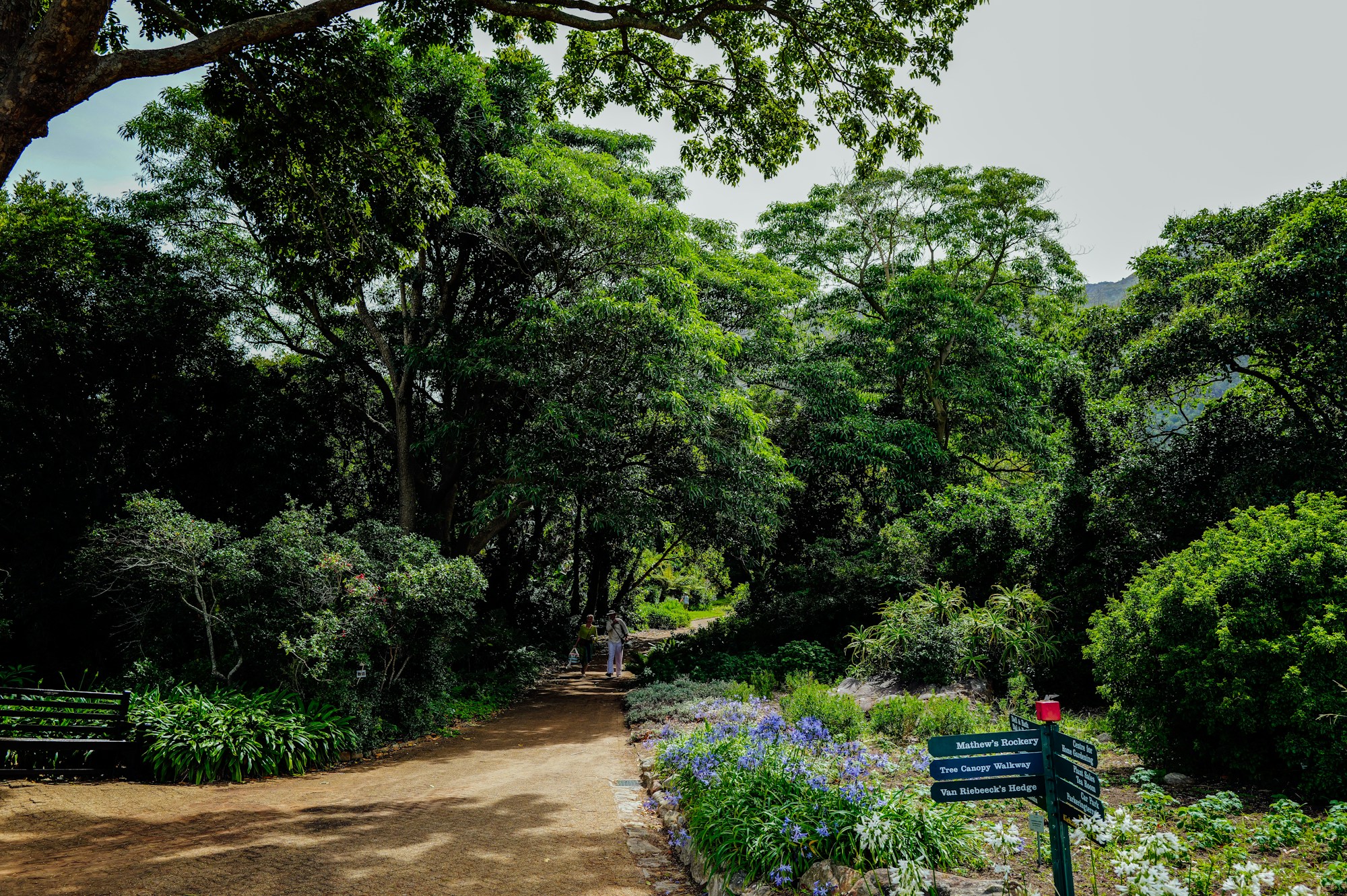 Visitors strolling through a blooming English garden in spring