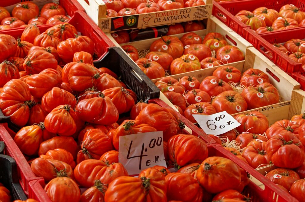 Tomates rouges empilées — La Tomatina 2026 à Buñol
