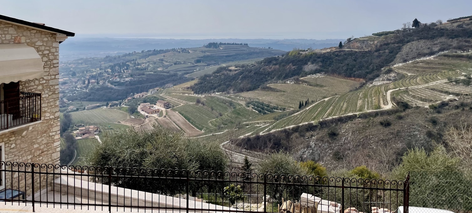 Dégustation Amarone Valpolicella — excursion depuis Vérone