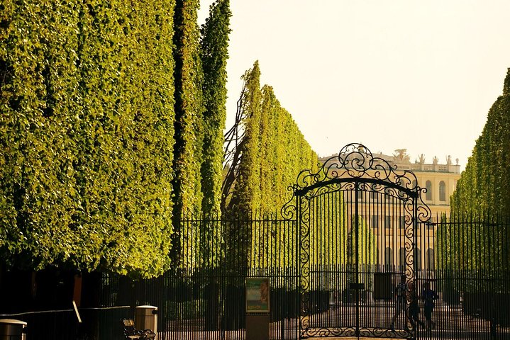 Visite guidée château Schönbrunn petit groupe façade baroque dorée