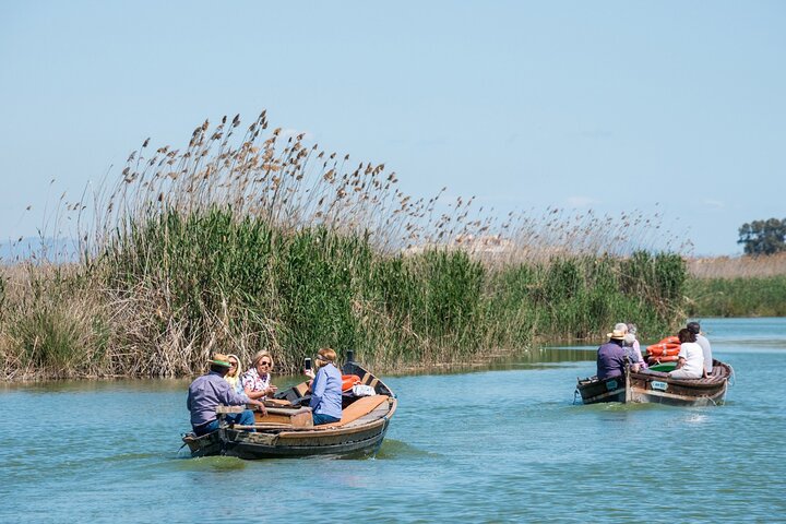 Excursion privée journée Albufera paella bateau croisière et promenade nature Valence