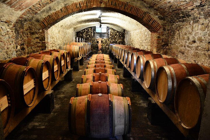 Catas de Chianti Classico en tres bodegas durante una excursion exclusiva desde Florencia