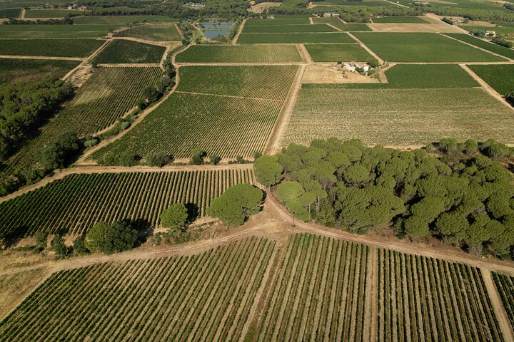 Wine tour privé en Provence, prise en charge hôtel Nice ou Cannes, domaine cru classé