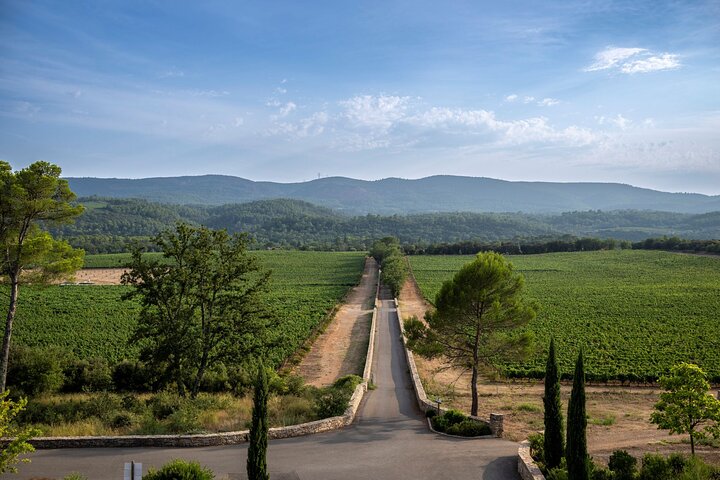 Dégustation de rosé de Provence dans un domaine viticole, visite petit groupe depuis Nice