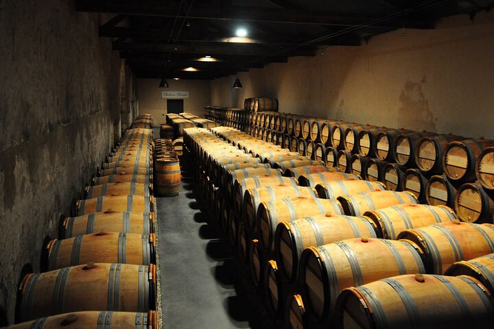 Médoc journée complète Margaux Pauillac Saint-Estèphe petit groupe 2016MEDOC
