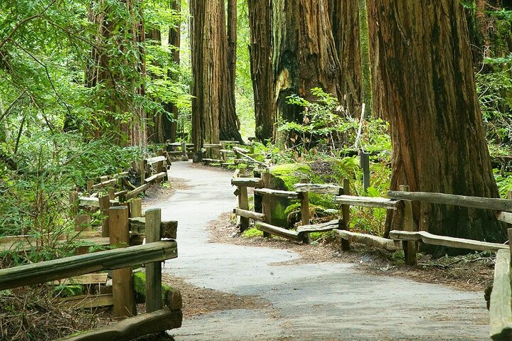Visite Alcatraz Muir Woods et Golden Gate Bridge en excursion depuis San Francisco