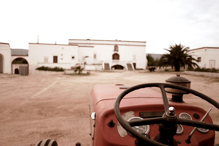 Dégustation d'huile d'olive extra vierge dans une masseria du XVIIIe siècle à Fasano, Pouilles