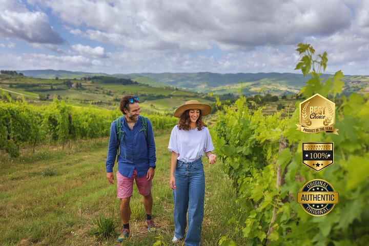 Senderismo por los vinedos ecologicos del Chianti en la Toscana con cata de vinos