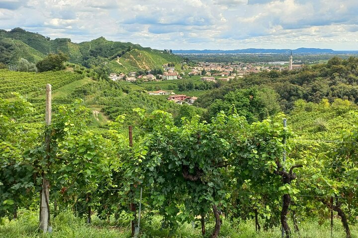 Collines du Prosecco de Valdobbiadene au printemps, caves familiales et dégustation DOCG