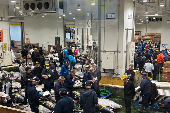 Visite matinale Toyosu et Tsukiji avec enchères de thon - 397509P4