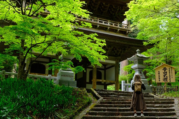 Bain de forêt shinrin-yoku temple Hakone et onsen — cèdres 600 ans