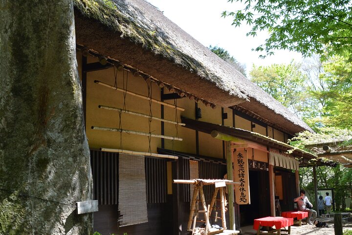 Randonnée Hakone Hachiri — cèdres centenaires Tokaido Amazake Chaya