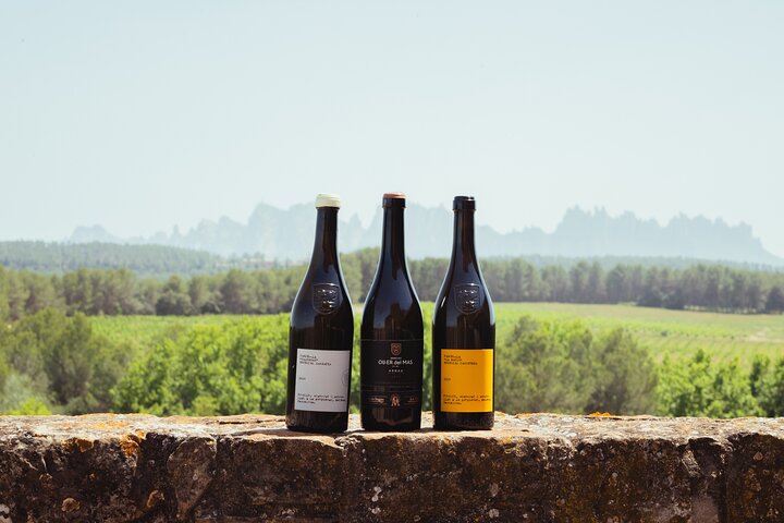 Montserrat cave boutique Pénèdes vins biologiques Cava brunch catalan - 5716P7