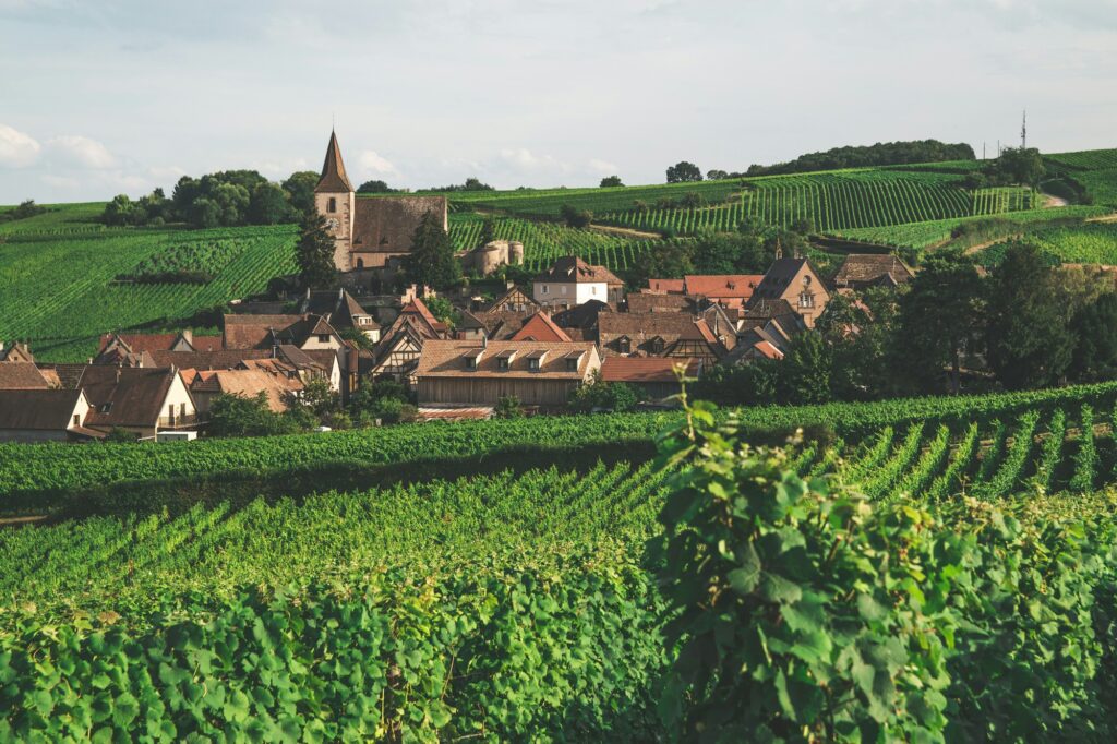 Visite vins Alsace villages médiévaux Eguisheim petit groupe depuis Bâle Colmar