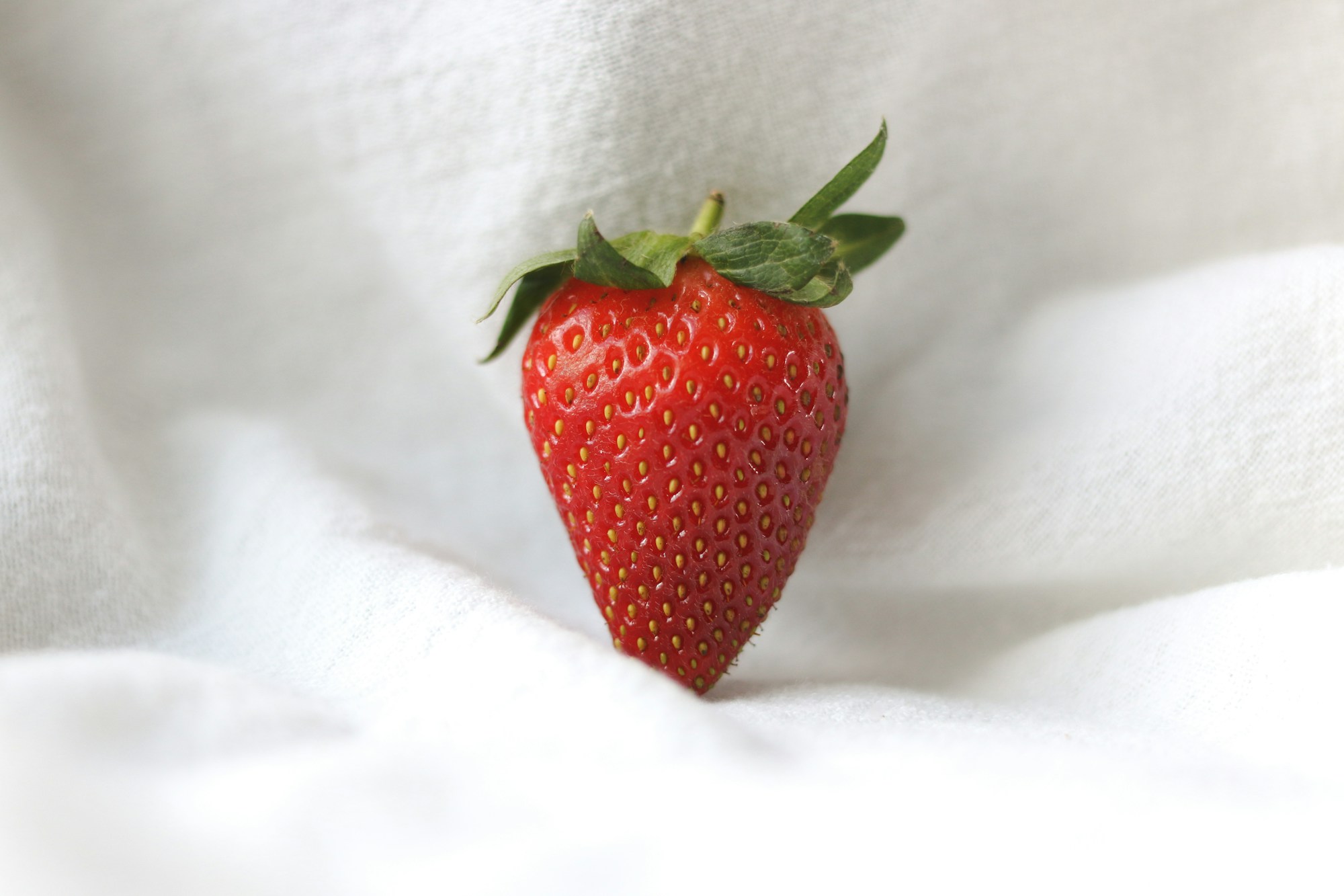 Fraises et crème avec court de tennis en gazon en arrière-plan, traditions emblématiques de Wimbledon