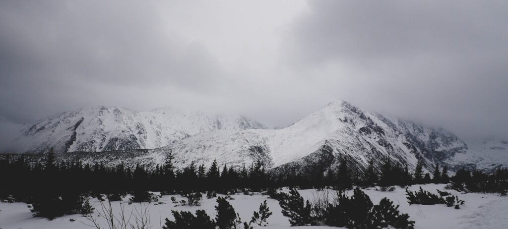 Motoneige dans les forêts enneigées des Tatras près de Zakopane en hiver