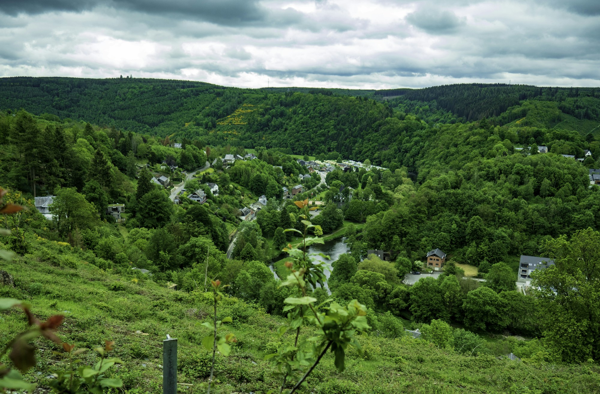 Paesaggio delle Hautes Fagnes nelle Ardenne belghe con torbiere e abeti, regione intorno a Spa