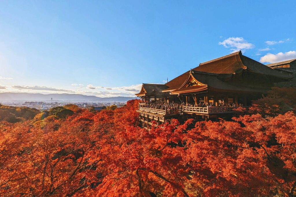 Erables d automne a Kyoto — feuillage rouge et or pendant le koyo
