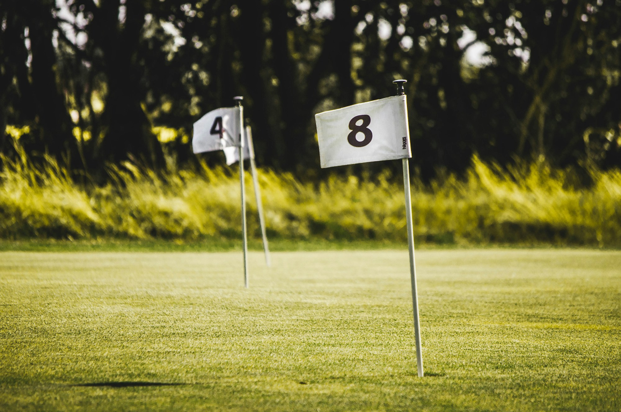 Green de golf avec drapeau sur pelouse soignée, ciel dégagé