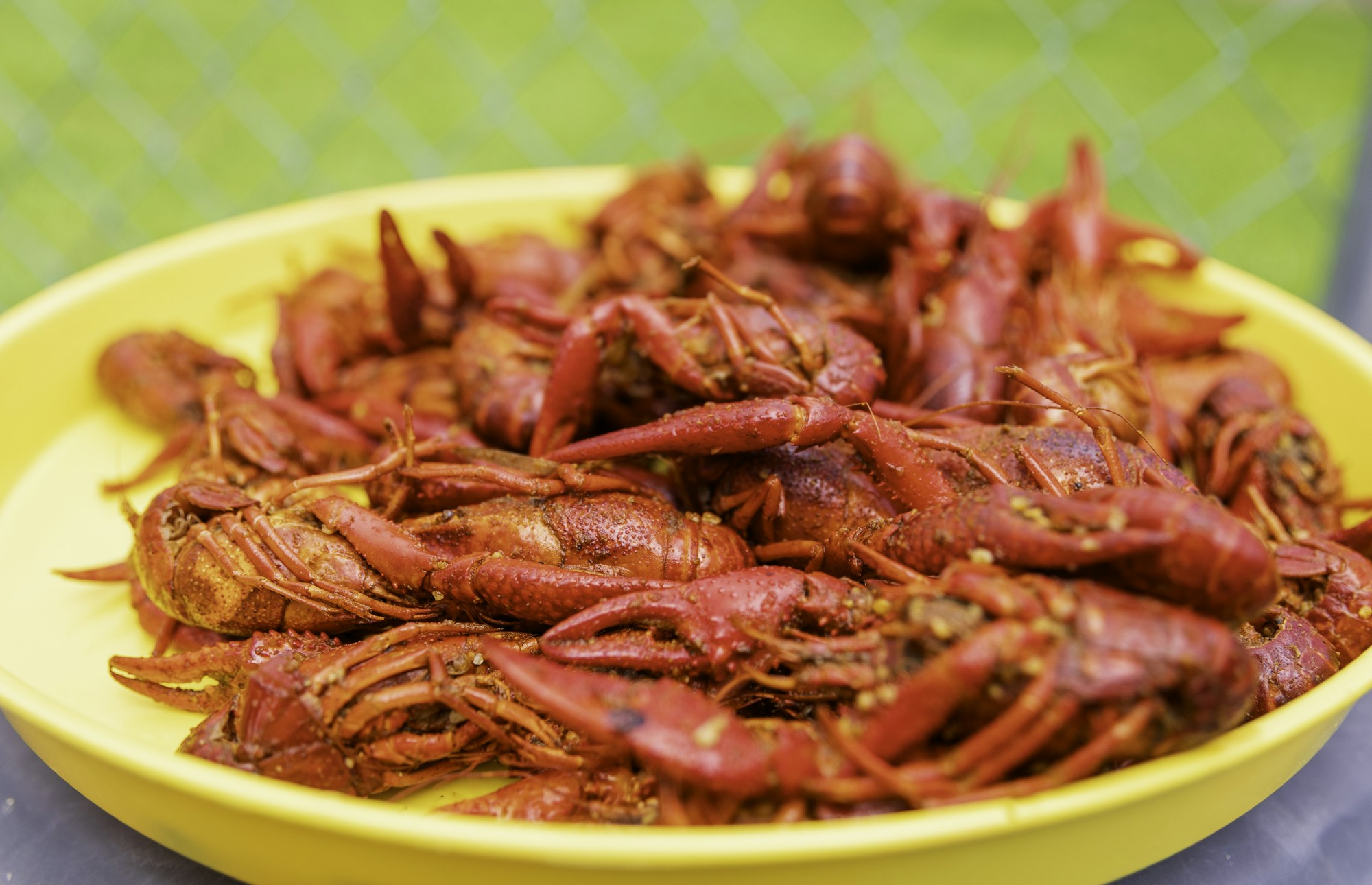Piatto di cucina del Sud americano con gumbo e po'boy, specialità emblematiche di New Orleans